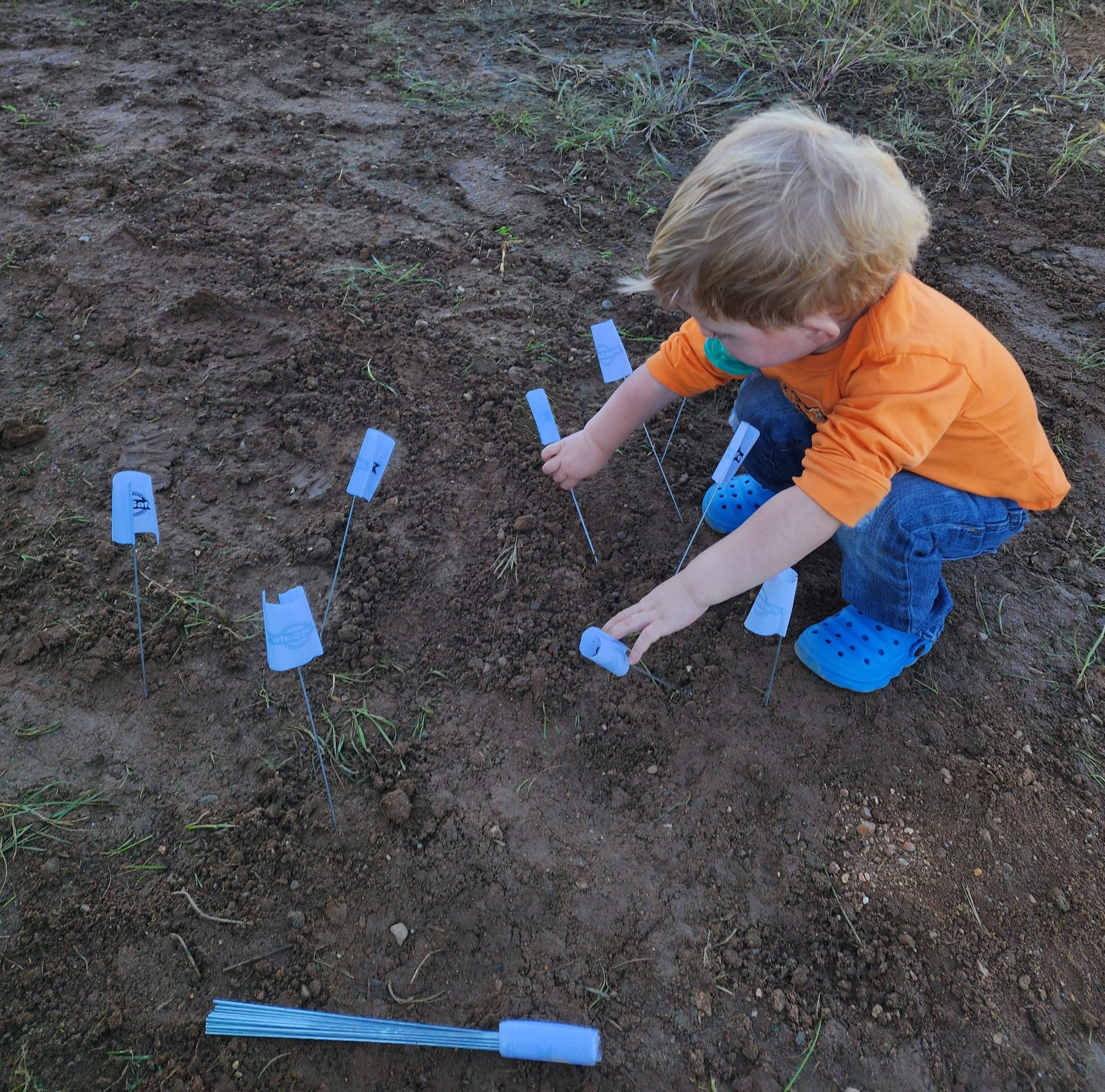 Installing a PetSafe In-Ground Dog Fence (With a Broken Trencher)
